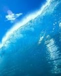 【柳岸】海与自由（诗歌）