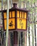 【荷塘】你好，诗经里（散文）