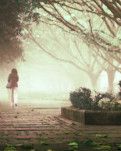 【柳岸•收获】石湖仙•西风瘦（古韵三阕）