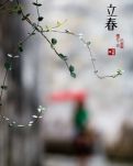 【如云】季节的剖面图（组诗）