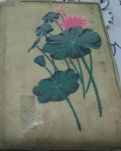 【菊韵】我的剪贴生活（散文）