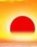 【看点】也谈脊梁（随笔）