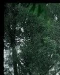 【笔尖】做一个幸福的人(散文)