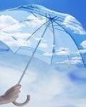 【看点】凌晨车祸（散文）
