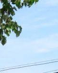 【天涯】找快乐〔散文诗〕