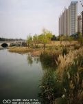 【楚汉】七绝.山水田园(四首古韵)