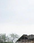 【看点】心之安处（小说）
