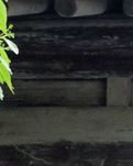 【浪花】古镇休闲游（散文游记）