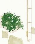 【八一】同桌的你（散文·家园）