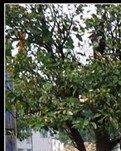【浪花】龙门古镇（游记）