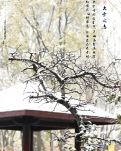 【星月】冬天来了（古韵）