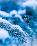 【菊韵】大寒（组诗）