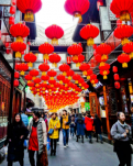 【菊韵】风中飘来故乡的味道（组诗）