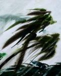 【菊韵】风，往北吹（外两首）
