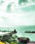 【柳岸•春】爱莲湾赋（古韵）