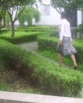 【菊韵】《风景》后记（随笔）