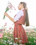 【菊韵】瑰丽云霞（散文）