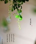 【星月】米兰（古韵）