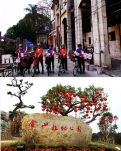 【浪花】好人指点赤坎镇  阳东夜游植物园（游记）