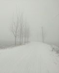 【晓荷】雪（外三首）