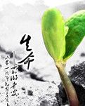 【晓荷】自然生产太危险（散文）
