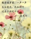 【萌芽】不朽（美文赏析）