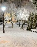 【丹枫】雪还在持续的下（组诗）