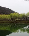 【荷塘“春之梦”征文】春天诗话（古韵）