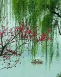 【楚汉】诗词四首.柳绿花红（古韵）