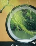 【菊韵】阳春三月（外两首）