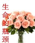 【江山人赏江山文】生命之花在瓶颈里怒放（柳岸）