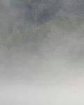 【晓荷】看得开才能放得下 （随笔）
