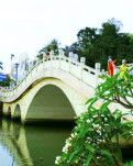 【柳岸•春】七律•草树知春不久归（轱辘体/古韵）
