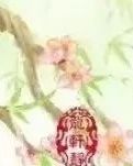 【荷塘“春之梦”征文】以春天的名义爱一个人（散文）