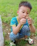 【浪花】阳光树林草地和水(诗歌)