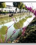 【天涯】歌唱新农村（快板）
