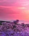 【浪花】你在南方，我在北方(诗歌)