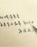 【丹枫】白茶清欢（散文）