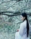 【丹枫】携一分心绪，入住春蕊憔悴（外一首）