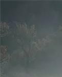 【天涯】清明回故乡（诗歌）