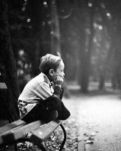 【丹枫】花月事（诗歌）