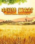【江山人赏江山文】种楼，留守儿童的希望（丁香文学）