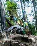 【心灵】难忘那山路，难忘那会议（散文）
