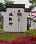 【八一】“法治杨梅”助乡村振兴（随笔·家园）