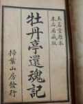 【菊韵】走在半梦半醒之间（赏析）