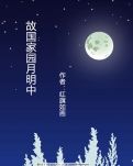 【菊韵】与一片落叶对视（诗歌）