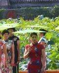 【荷塘“夏日风情”征文】荷塘灵魂舞（散文）