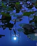 【楚汉】诗词（五首词外三首五律）