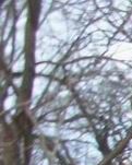 【菊韵】撒尼“糯黑”石头寨（组诗）