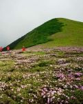 【回归】赴约山顶神仙花园（散文）